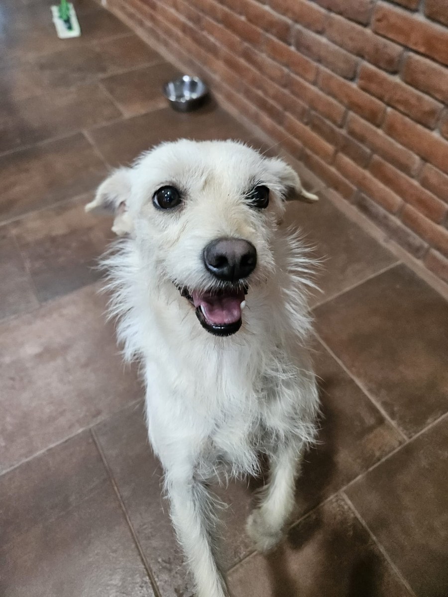 Blanca