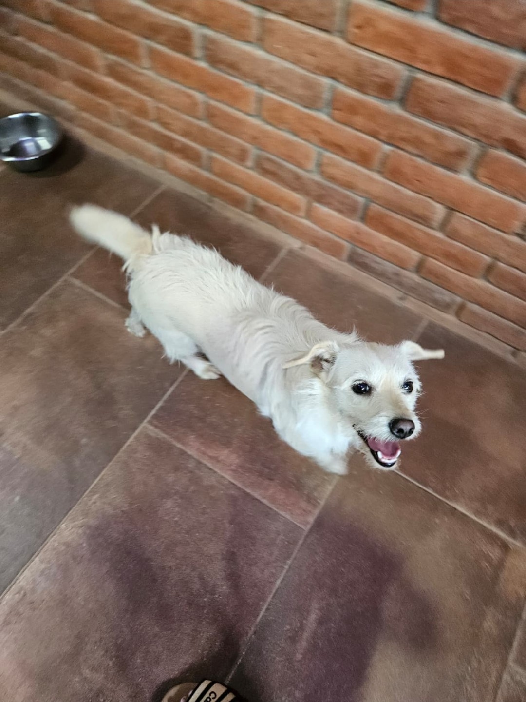 Blanca, second photo